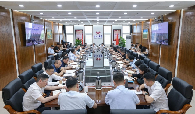 集團黨委傳達學習中央通報精神和上級有關會議精神